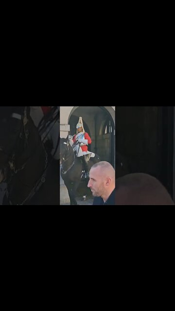 Guard hits panic button #horseguardsparade