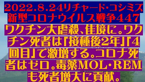 2022.08.24 リチャード・コシミズ新型コロナウイルス戦争４４７