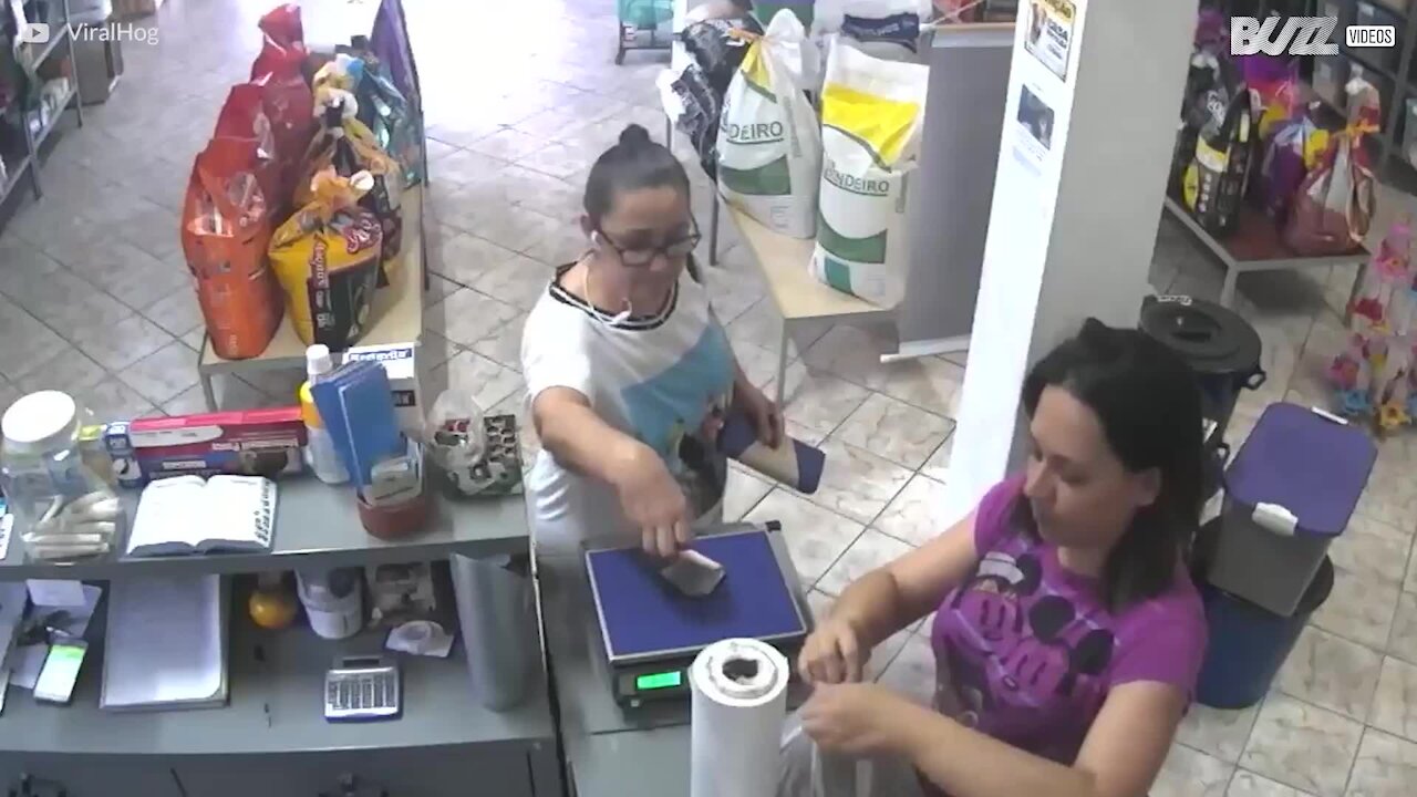 Uccello deruba una signora