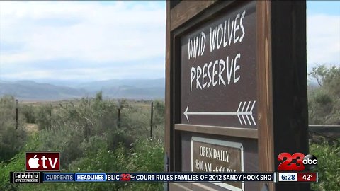 Wind Wolves Preserve Nature Festival preview