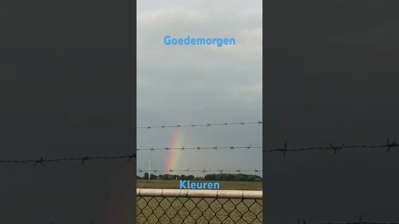 #shortsfeed #rainbow #youtubeshorts #youtube