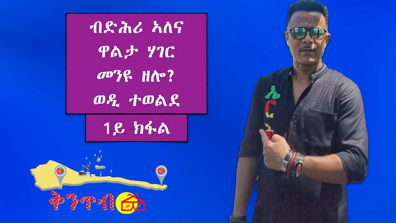 🇪🇷Yosief Tewelde🇪🇷ኣለና ዋልታ ሃገር ሜዲያ መን እዩ ብድሕሪኡ ዘሎ? Part 1