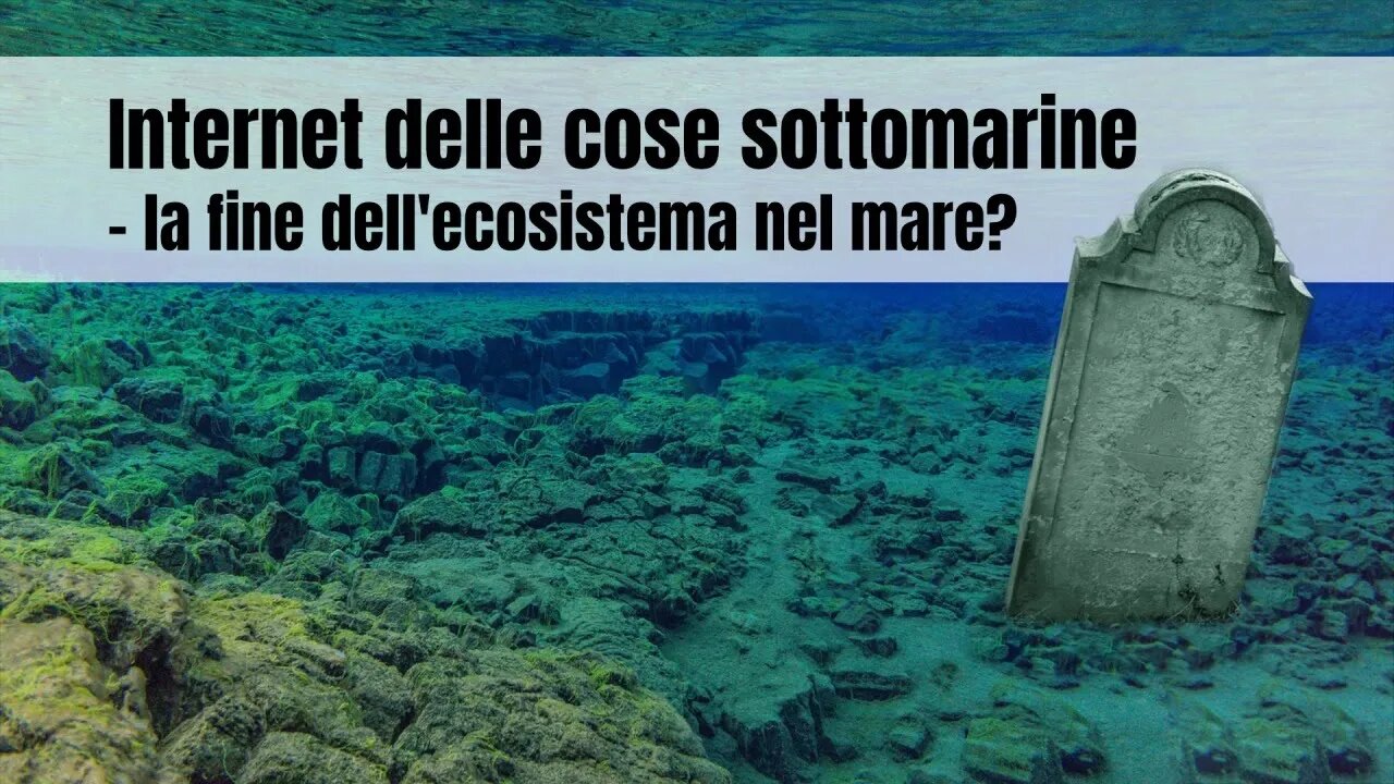 Internet delle cose sottomarine – la fine dell'ecosistema nel mare?