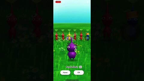 Roadside Purple Pikmin #shorts | Pikmin Bloom