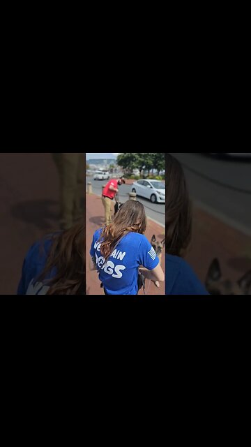 Annapolis Maryland #dogtraining #dogtrainer #dog #love