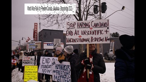 World Wide Rally for Freedom - Canada - Muskoka - Bracebridge