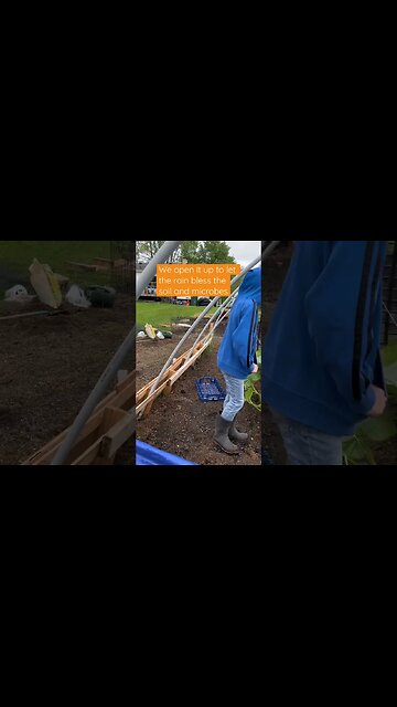 Jack & Gramps Giant Pumpkin #gardening #bubba #diygardening
