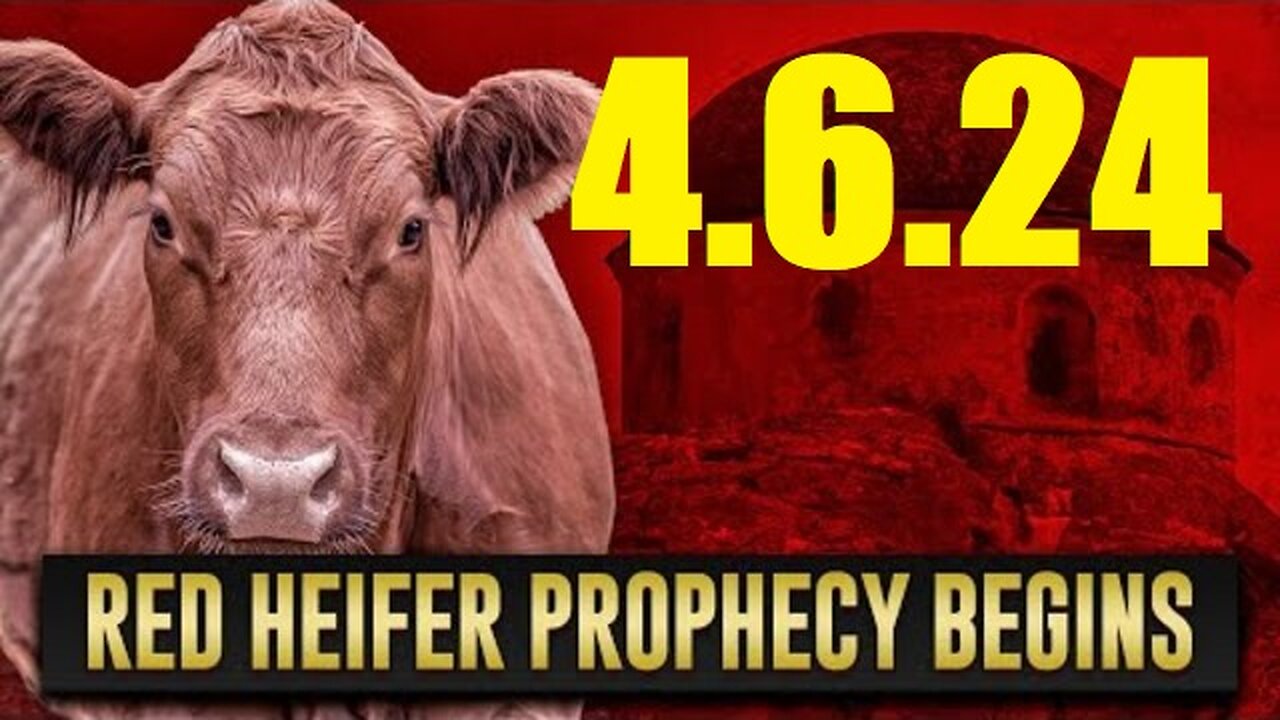 RED HEIFER PROPHECY REVEALED..TEXAS RANCHER SENDS 4 TO ISREAL! SAY NO AND SIGN THE PETITION!