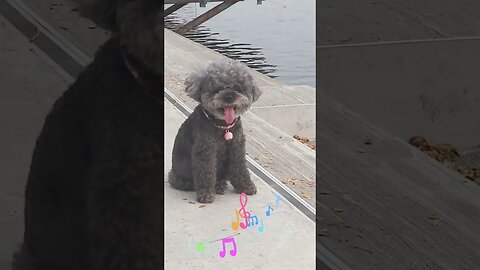 Na Na