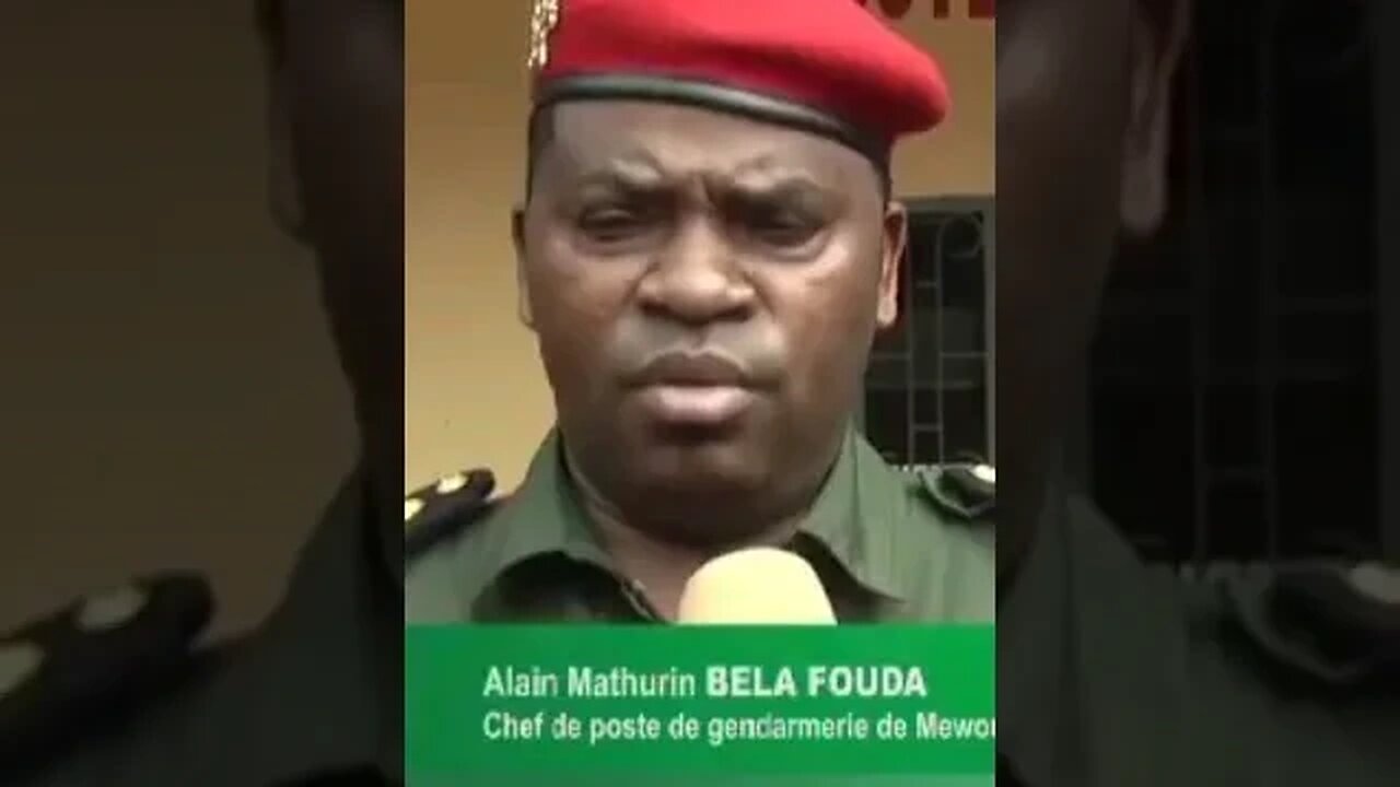 𝗟𝗔 𝗚𝗘𝗡𝗗𝗔𝗥𝗠𝗘𝗥𝗜𝗘 𝗡𝗔𝗧𝗜𝗢𝗡𝗔𝗟𝗘 𝗟𝗨𝗧𝗧𝗘 𝗖𝗢𝗡𝗧𝗥𝗘 𝗟𝗘 𝗧𝗥𝗔𝗙𝗜𝗖 𝗗𝗘 𝗦𝗧𝗨𝗣𝗘́𝗙𝗜𝗔𝗡𝗧𝗦 Flore De Lille Veuve Joyeuse