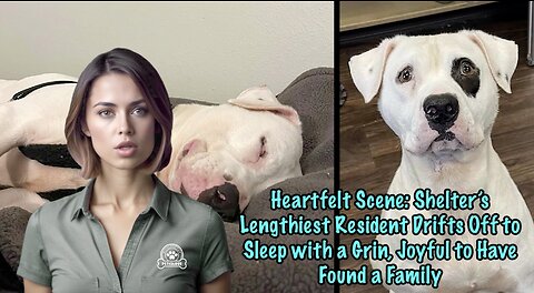 Shelter’s Lengthiest Resident Drifts Off to Sleep with a Grin, Joyful to Have Found a Family 🐾😴