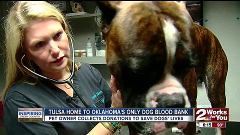 Oklahoma's Only K9 Blood Bank