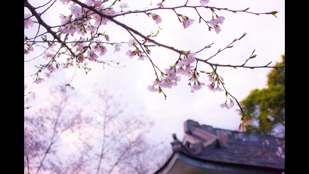 Relaxing Piano Music VOL 2 Meditation , Calm , Romantic Music, Sleep , Study , Ambient