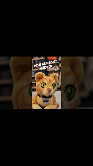 I See A Big Difference Here...😂 #shorts #merch #funny