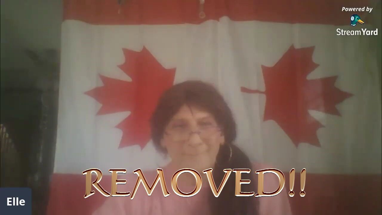 The video that got me REMOVED FROM YOUTUBE! (Politics of social media)