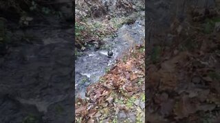 Floating basketball in river staying in one spot!