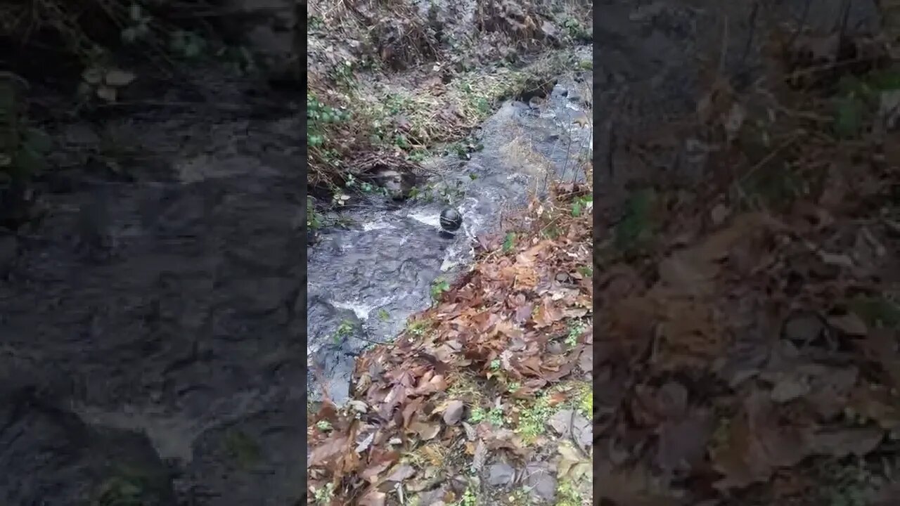 Floating basketball in river staying in one spot!