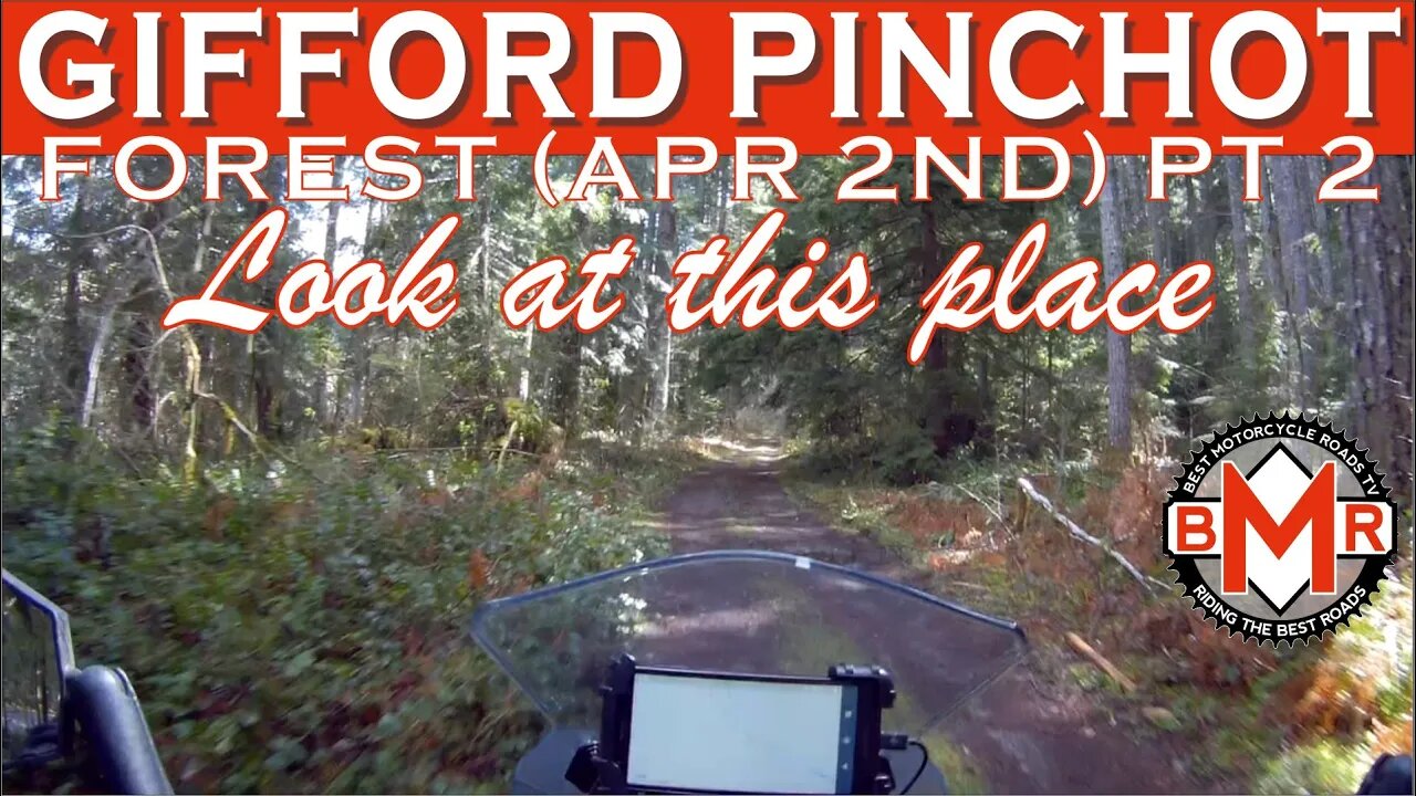 Gifford Pinchot Forest Rd 29 and Others PT 2 | 2022 KLR 650