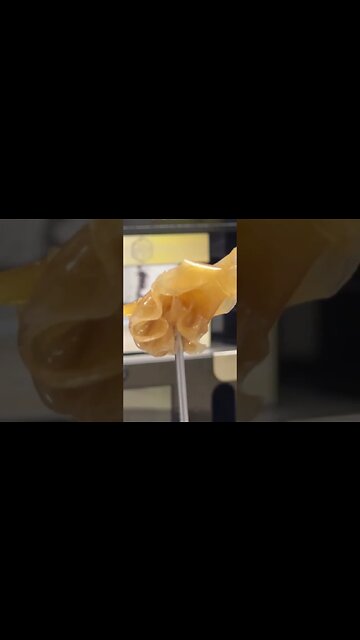 Make the best Solventless Concentrates with NugSmasher! Use code: RYANSDEAL