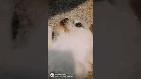 More rubs please
