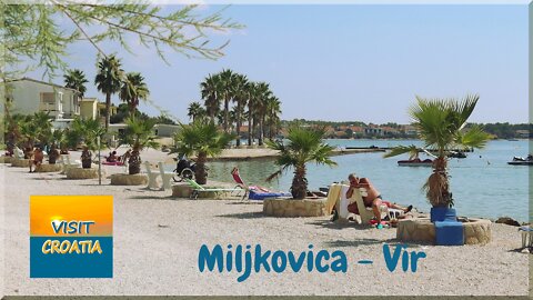 Miljkovica Beach On The Island Of Vir