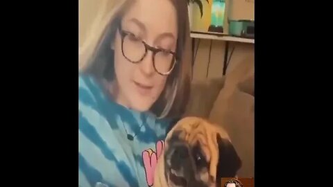 Melhor vídeo engraçado no TikTok