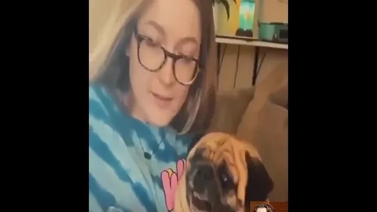 Melhor vídeo engraçado no TikTok