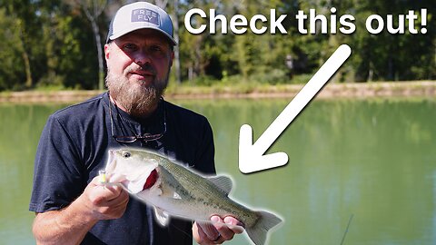 A Day on the Pond: Catching Bass and More