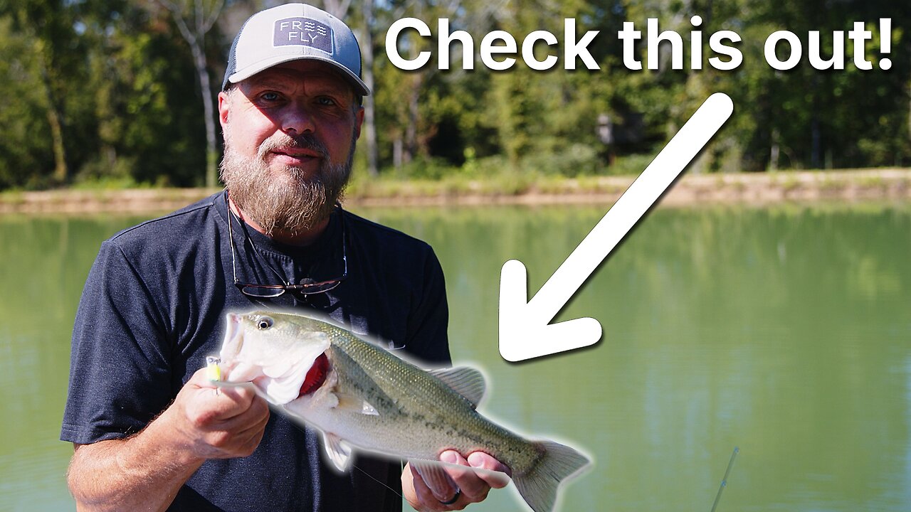 A Day on the Pond: Catching Bass and More