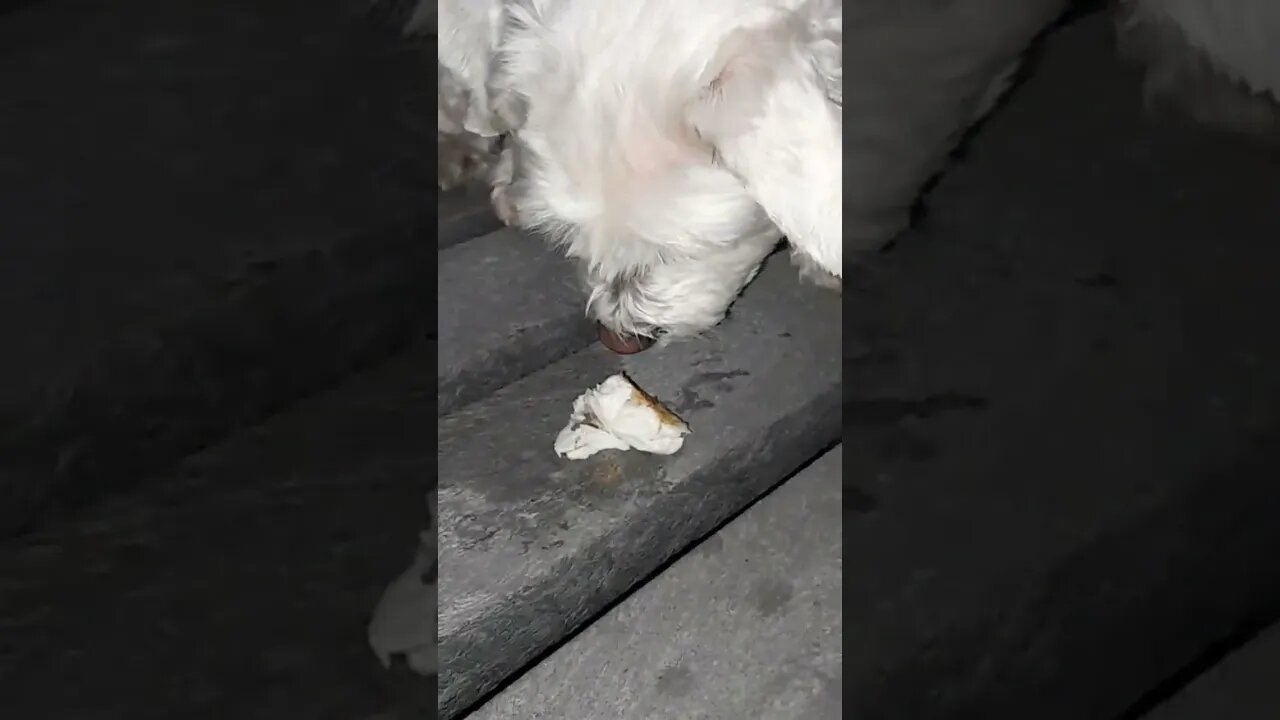 dinner for two at the diner