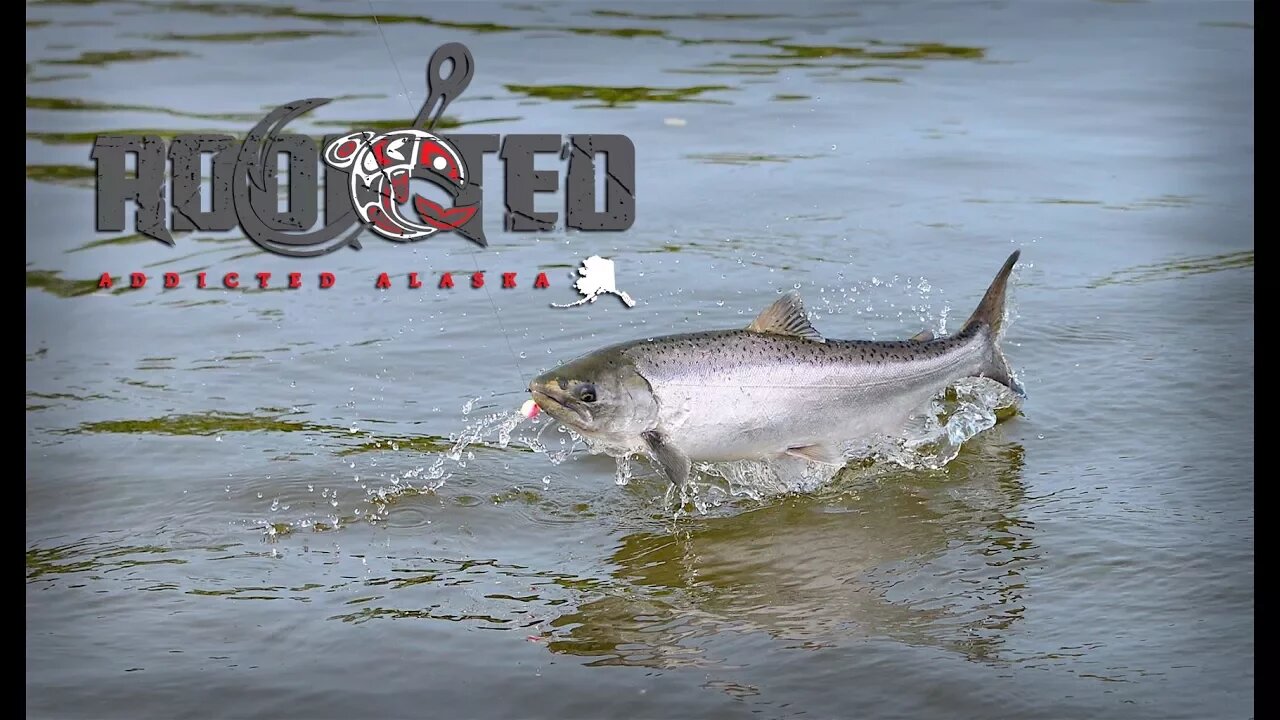 Addicted Alaska | A Story of Adventure, Friendship, & Inspiration