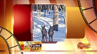 Our Art's Cameras Plus Picture of the Day for February 14!