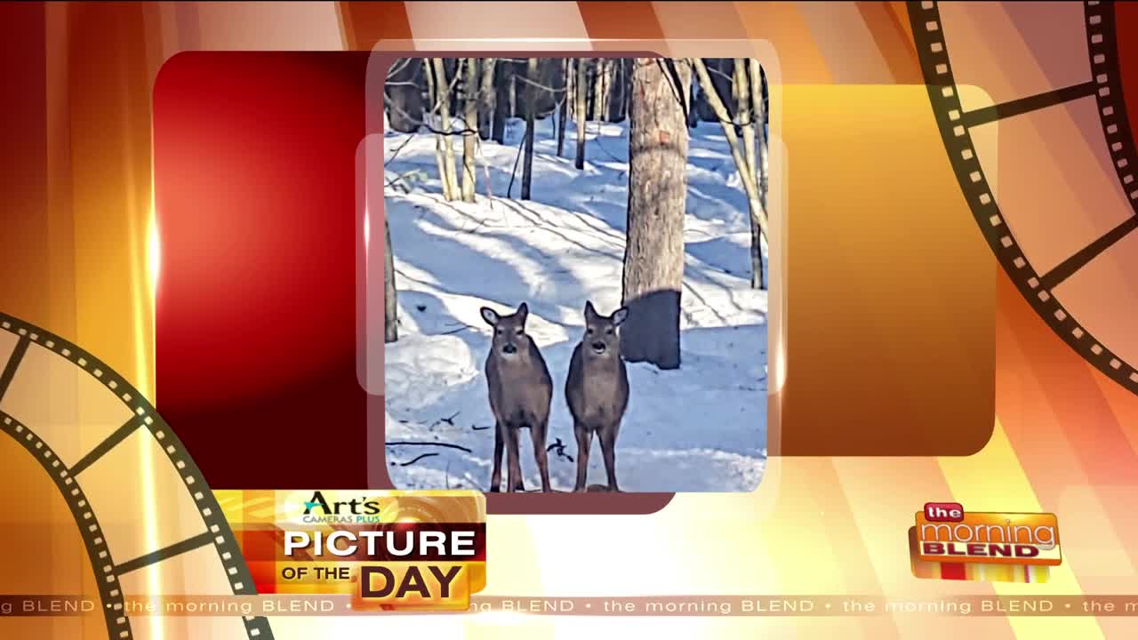 Our Art's Cameras Plus Picture of the Day for February 14!