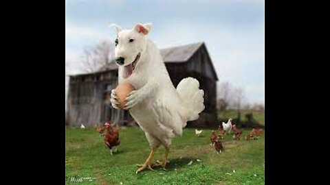 LATTE HAD ENOUGH OF RUBBERPECKER HEAD