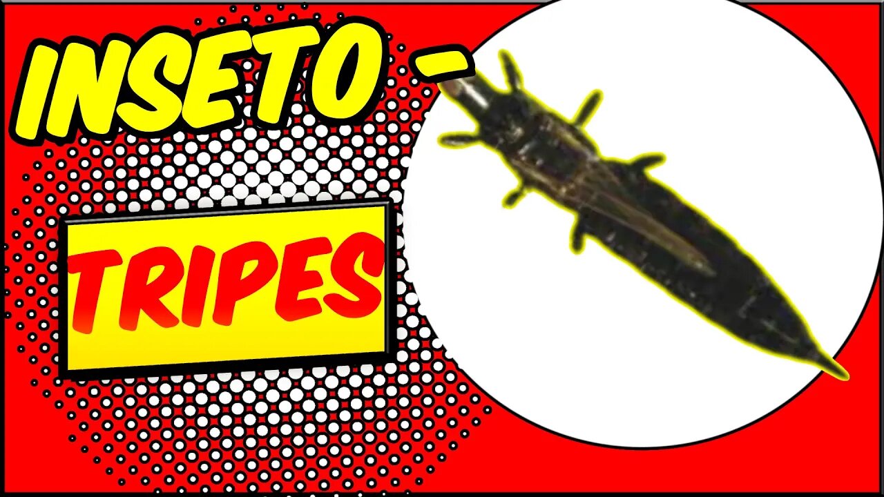 Inseto - [Tripes] 🐛🦗🌱Conhecendo o Inimigo
