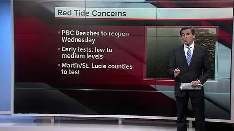 Palm Beach County beaches to open Wednesday, no high levels of red tide found