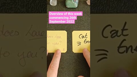 What does Love mean to you? #weeklytarot #lovetarot #tarot26thseptember
