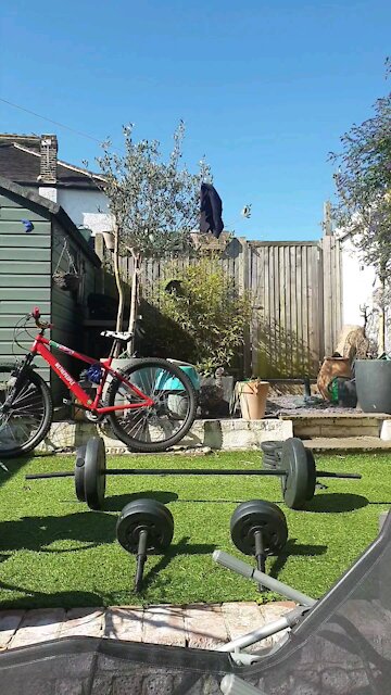 Isolation home gym 3