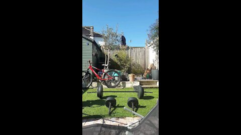 Isolation home gym 3