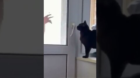 Open the door.