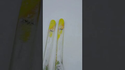 snowy fun
