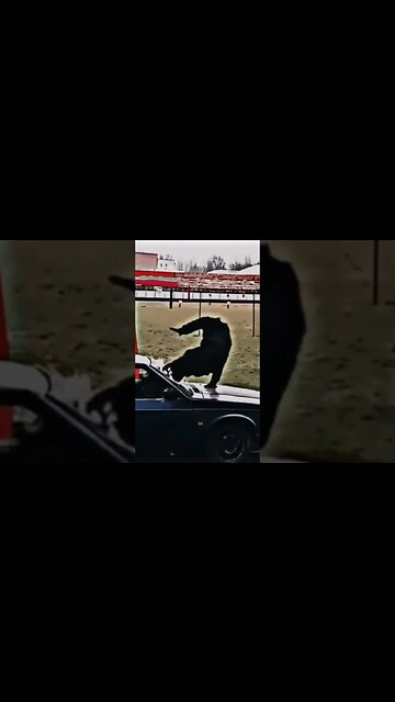 TÉCNICA RUSSA DE ABORDAGEM