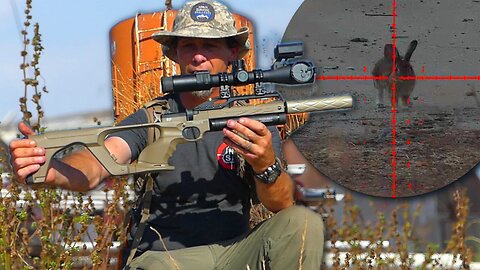 Cottontail Hunt with Reximex RP