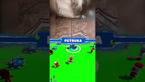 Cachorro vs canário #shorts