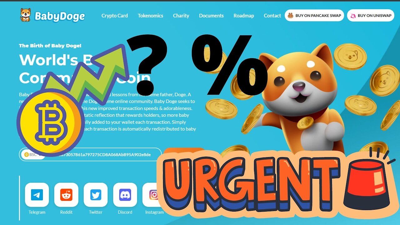 Baby Doge (BabyDoge) .. URGENT UPDATE