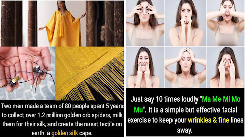 Did You Know Facts|Unknown Facts|Fun Facts|Amazing Facts|Wow Facts|Facts Part #5