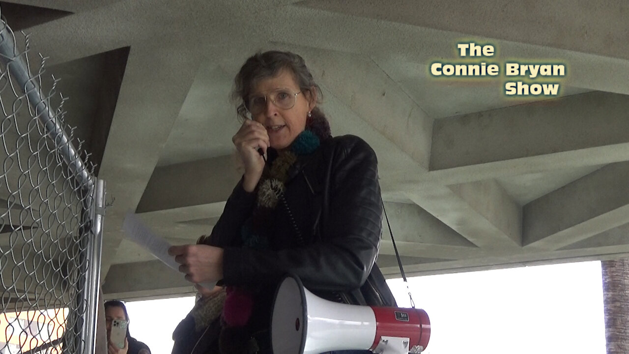 The Connie Bryan Show: Connie BULLHORNS the Sacramento County Board of Supervisors