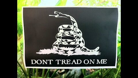 DON'T TREAD ON ME die cut sticker