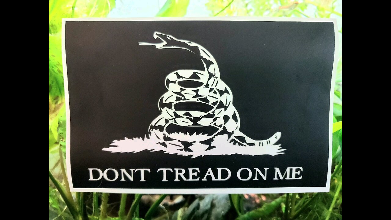 DON'T TREAD ON ME die cut sticker