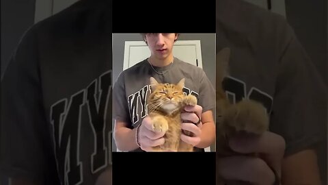 Funny Animal Videos Of The Day 007! #dankmemes #animals #dankmemes #memes